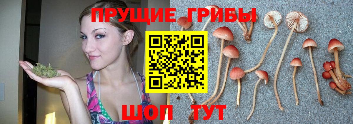 Галлюциногенные грибы GOLDEN TEACHER Великий Устюг