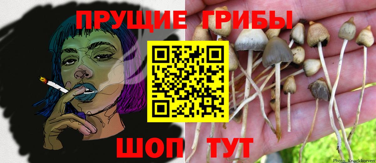 Галлюциногенные грибы мухоморы  Вход с VPN  Великий Устюг 